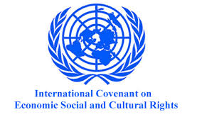  Conclusions of the Committee on Economic, Social and Cultural Rights