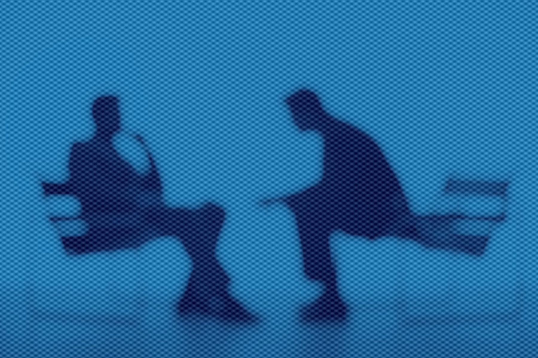 Predstavljanje tima/projektnog partnerstva